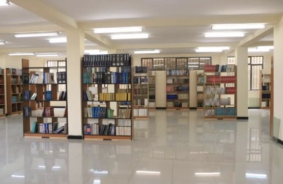 Freestanding bookshelves across the polished floor of the Lafto library